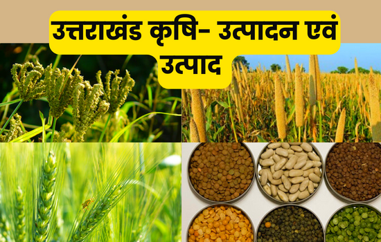 उत्तराखंड कृषि- उत्पादन एवं उत्पाद